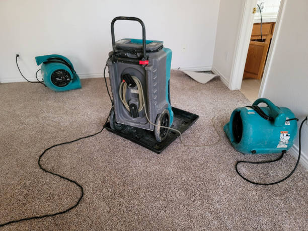 Best 24/7 water damage repair  in St Marys, OH