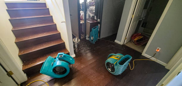 Best Water damage restoration cost  in St Marys, OH