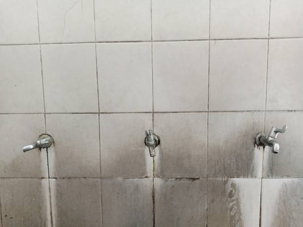 Best 24/7 water damage repair  in St Marys, OH