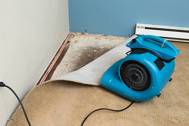 Reliable St Marys, OH Water damage restoration Solutions